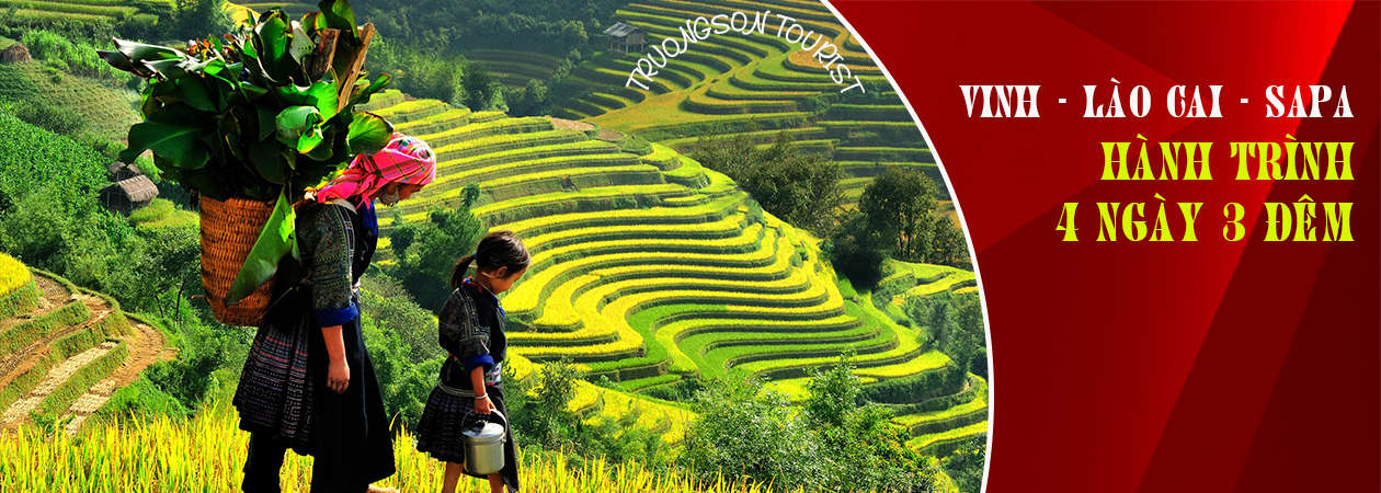 TOUR VINH - LÀO CAI - SAPA